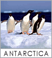 Antartica